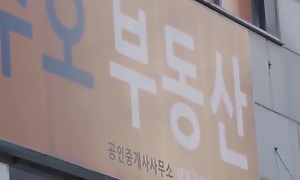 korean sex hostel intrigue b passion